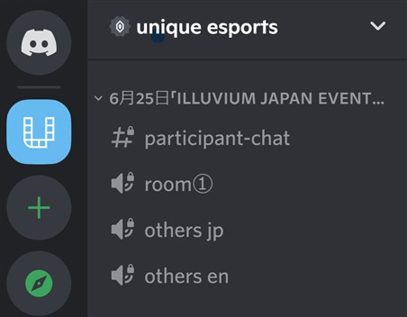 Unique Discord Illuvium